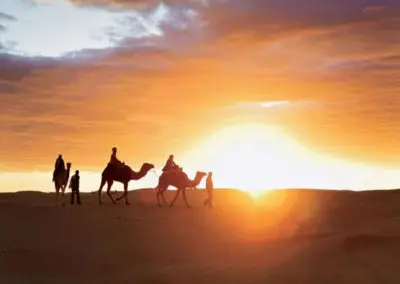 Sahara Desert camel trkking