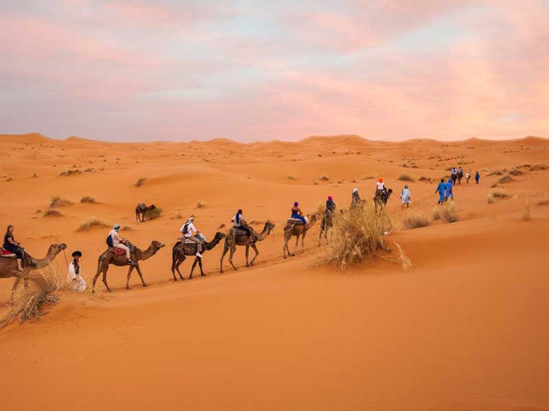 trekking tour with camels in the desert