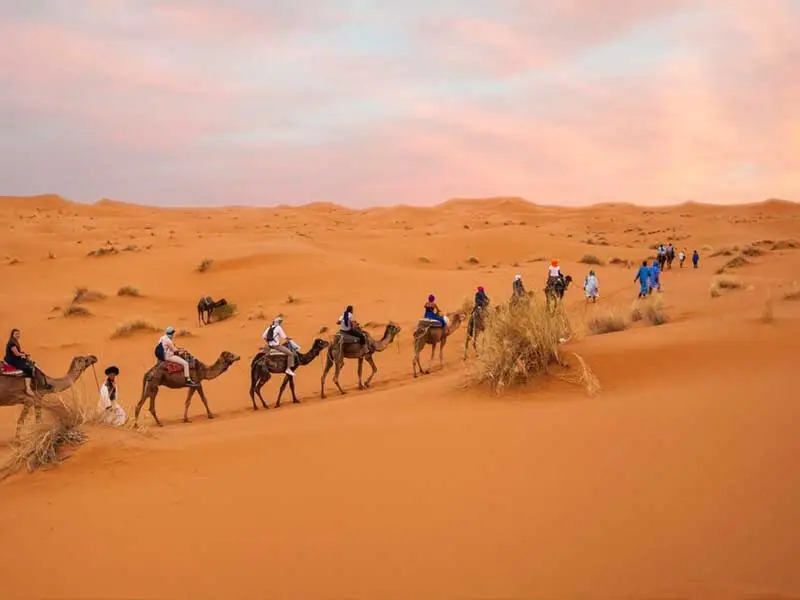 trekking tour with camels in the desert