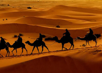 Camel trekking at night in the desert of merzouga