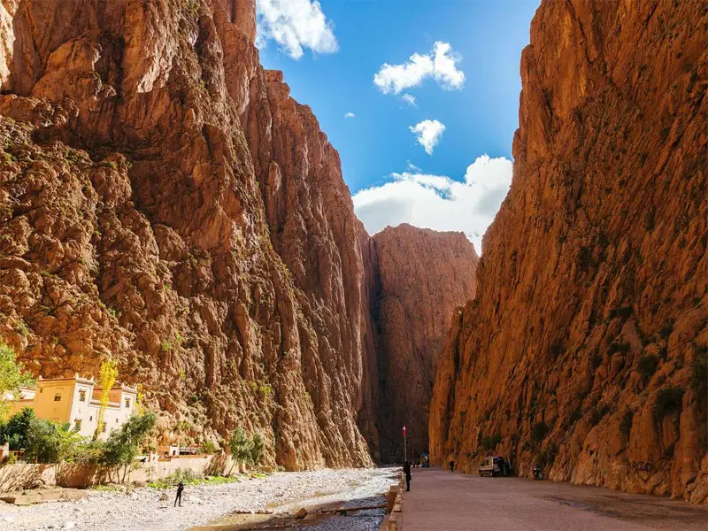 Discover Todgha Gorges