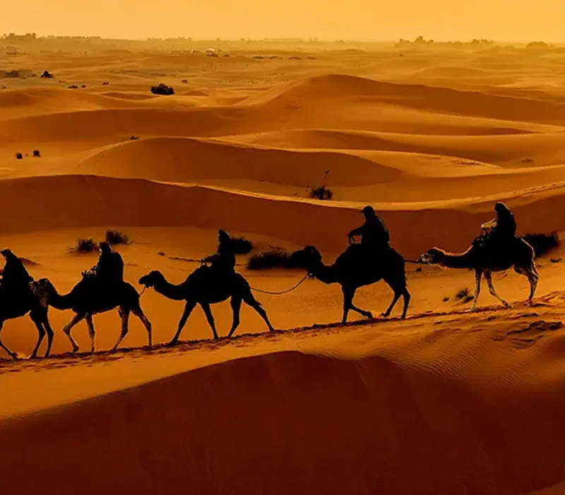 merzouga camel trekking