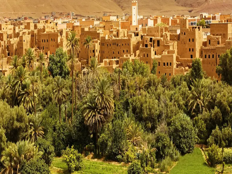 Skura city with palm trees