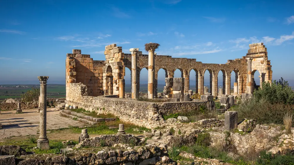 explore volubilis