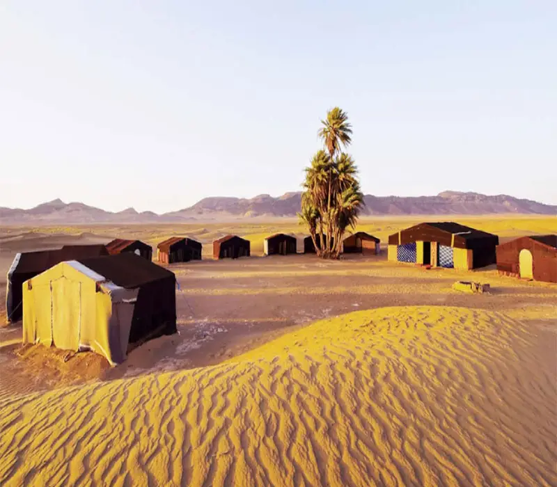 mrzoga desert