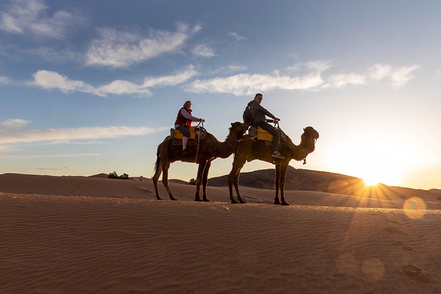 Desert-Tour on a camel in the sunrise