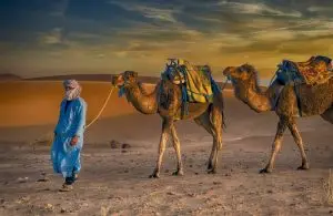 Merzouga Camel trekking