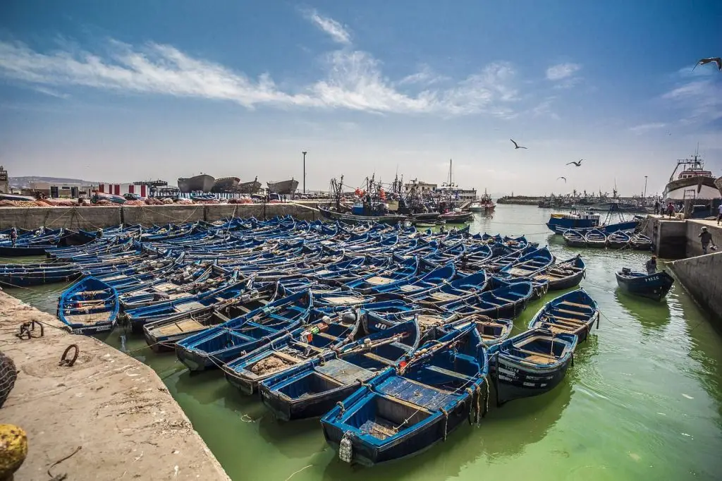 Essaouira day trip