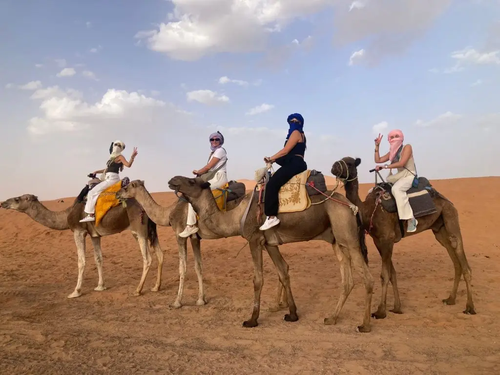 Camel trekking in Merzouga desert