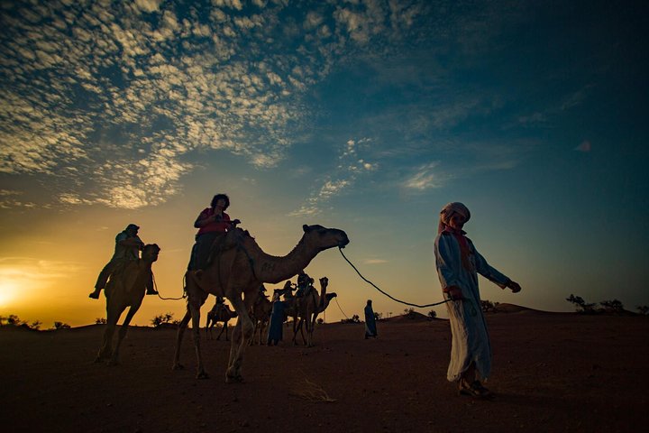 Marrakech desert tours