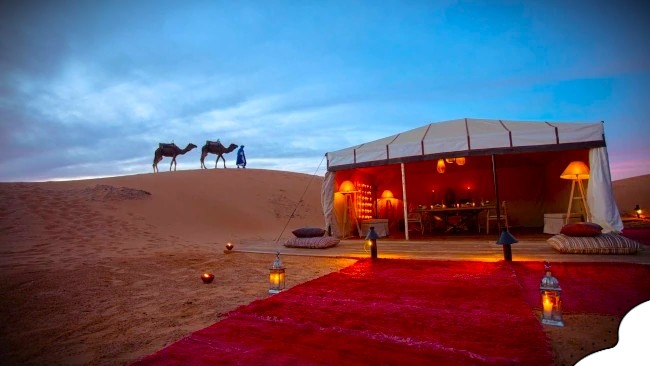 Luxury desert camps in Morocco surrounded by golden dunes and elegant Berber tents at sunset.