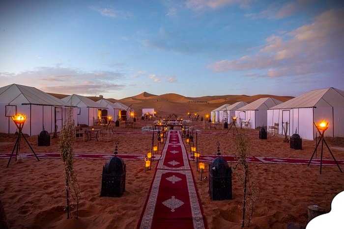 Luxury desert camps in Morocco with elegant Berber tents and golden Sahara dunes at sunset.