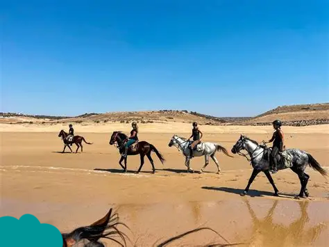 Horse Riding Essaouira along the scenic Atlantic coastline