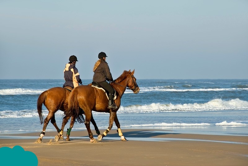 Horse Riding Essaouira across the golden desert dunes