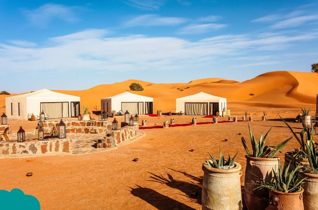 Sunset over Merzouga dunes with camels on a Morocco Camel Trek in Merzouga.