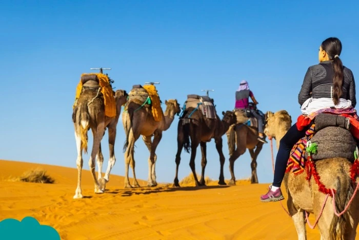 Morocco desert camping tips featuring a camel trek at sunrise
