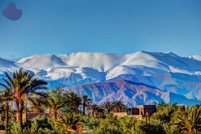 Outdoor yoga session during a yoga retreat in Morocco Atlas Mountains