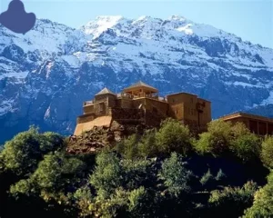 Sunrise yoga session at a yoga retreat in Morocco Atlas Mountains