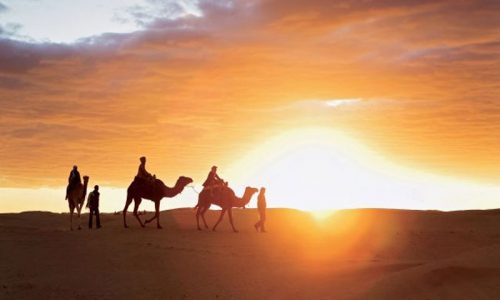 camel trekking tour and Sunrise at the sahara desert