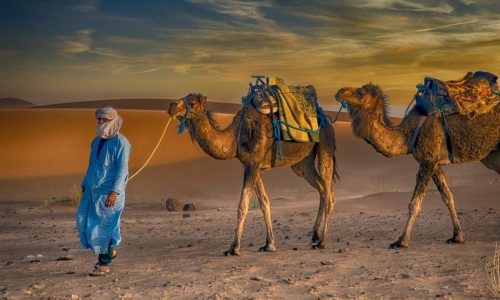Merzouga Camel trekking
