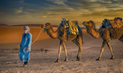 Morocco tours - Merzouga Camel trekking