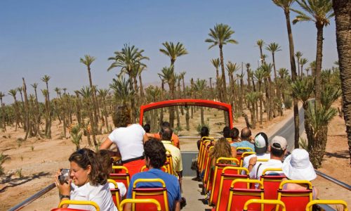 Family-Friendly Day Trips from Marrakech